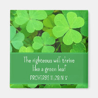Green Clovers Photo Prosperity Bible Verse Cute
