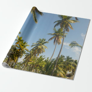 Green coconut palm tree near green grass field in wrapping paper