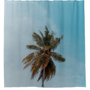 Green coconut tree under blue sky