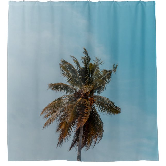 Green coconut tree under blue sky (Front)