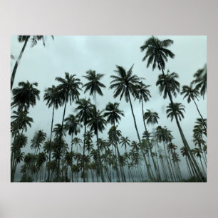 Green coconut trees under white sky in the morning poster