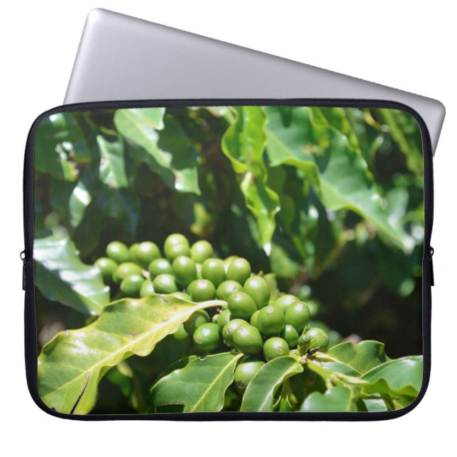Green Coffee Berries Laptop Sleeve (Front)