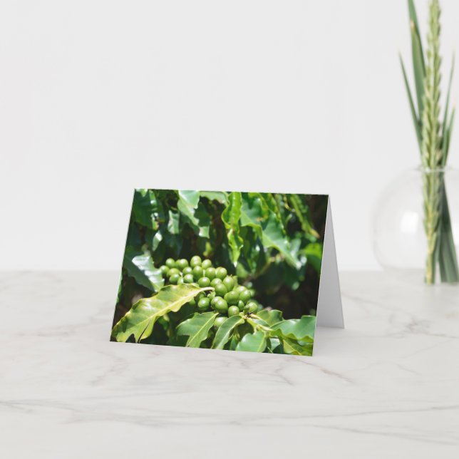 Green Coffee Berries Note Card (Front)