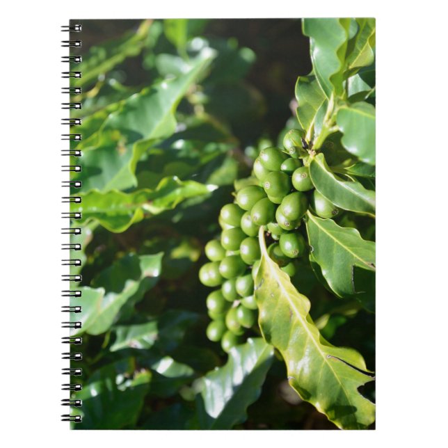 Green Coffee Berries Notebook (Front)