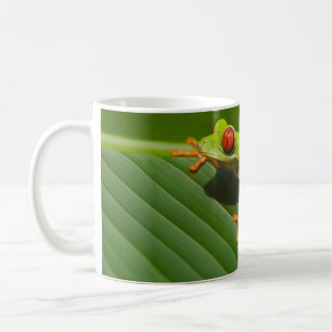 Green Colorful Jungle Tree Frog Coffee Mug