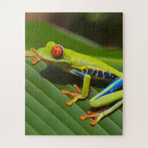 Green Colorful Jungle Tree Frog Jigsaw Puzzle