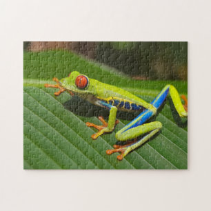 Green Colorful Jungle Tree Frog Jigsaw Puzzle