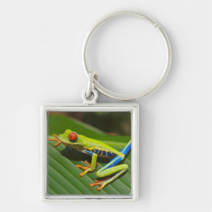 Green Colorful Jungle Tree Frog Keychain
