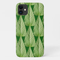 Green colour of leaves