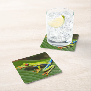 Green Colourful Jungle Tree Frog Square Paper Coaster