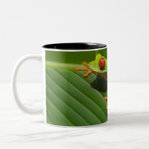 Green Colourful Jungle Tree Frog Two-Tone Coffee Mug
