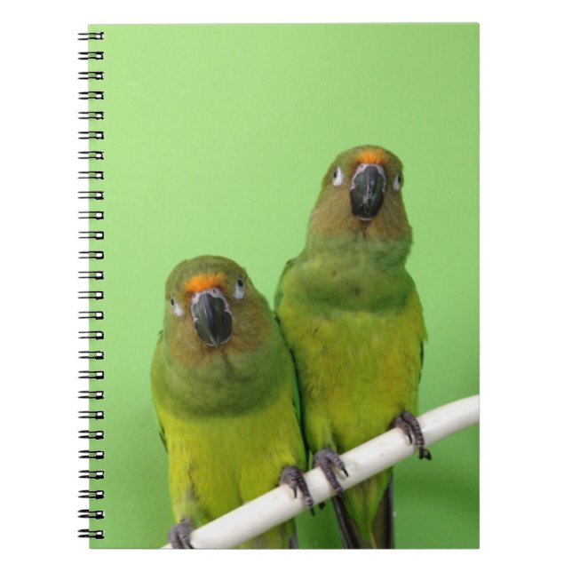 Green Conure Note Book (Front)