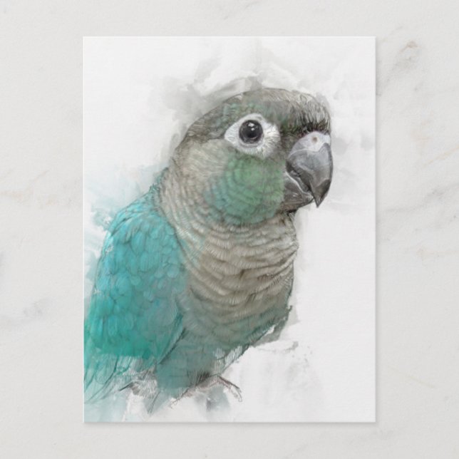 Green Conure Postcard No.3 (Front)