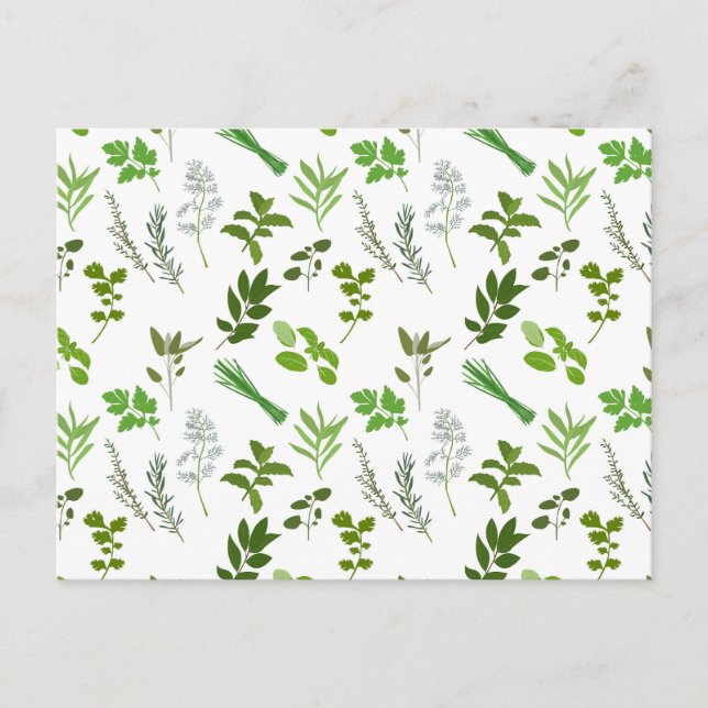Green Cooking Culinary Garden Herbs  Holiday Postcard (Front)