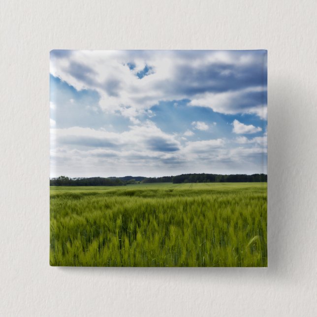 Green Cornfields and Blue Skies 2 Inch Square Button (Front)
