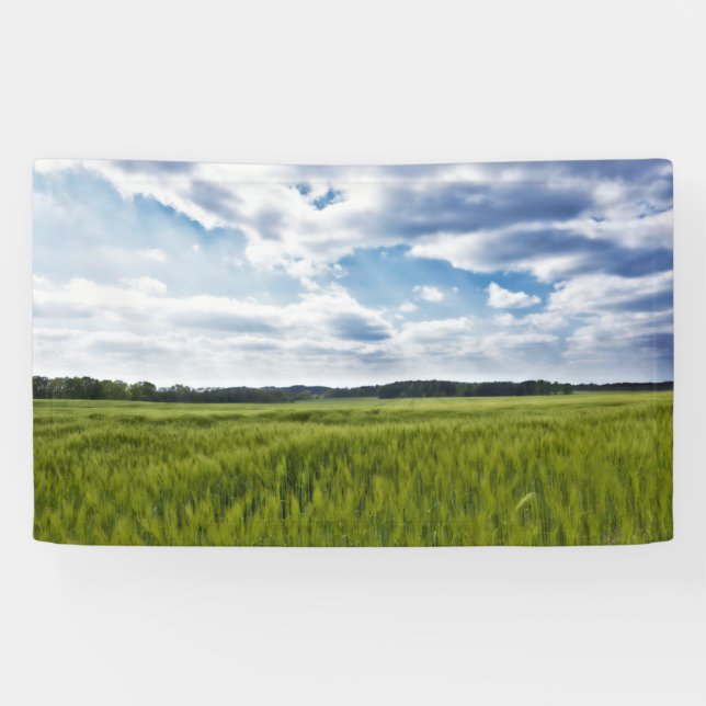 Green Cornfields and Blue Skies Banner (Horizontal)