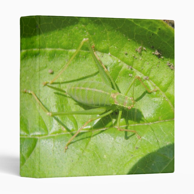 Green Cricket Camouflage Binder (Front/Spine)