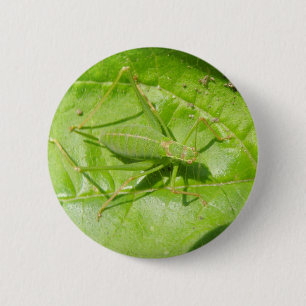 Green Cricket Camouflage Button
