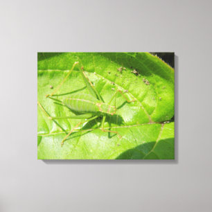 Green Cricket Camouflage Canvas Print