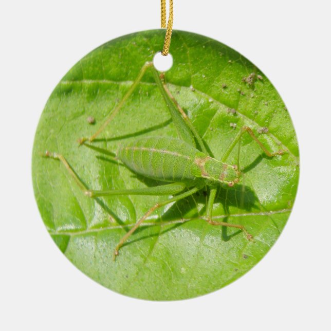Green Cricket Camouflage Custom Birthday Ceramic Ornament (Front)