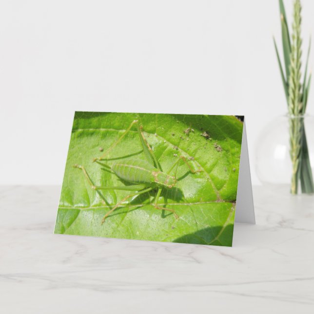 Green Cricket Camouflage Greeting Card (Front)