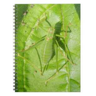 Green Cricket Camouflage Notebook