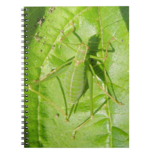 Green Cricket Camouflage Notebook (Front)