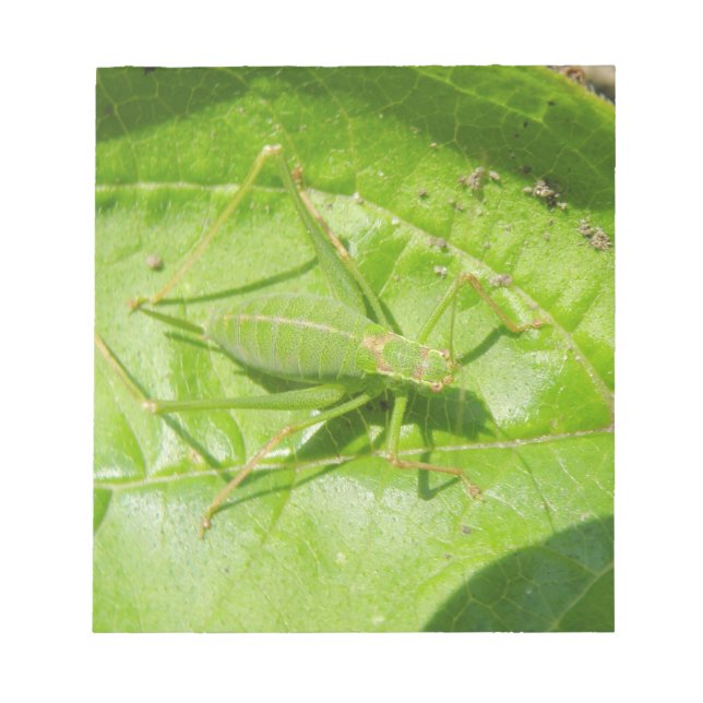 Green Cricket Camouflage Notepad (Front)
