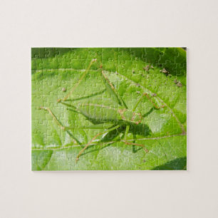 Green Cricket Camouflage Puzzle