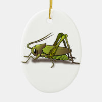 Green Cricket Insect