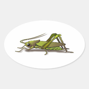 Green Cricket Insect Oval Sticker