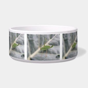 Green Cricket Macro Dog Bowl