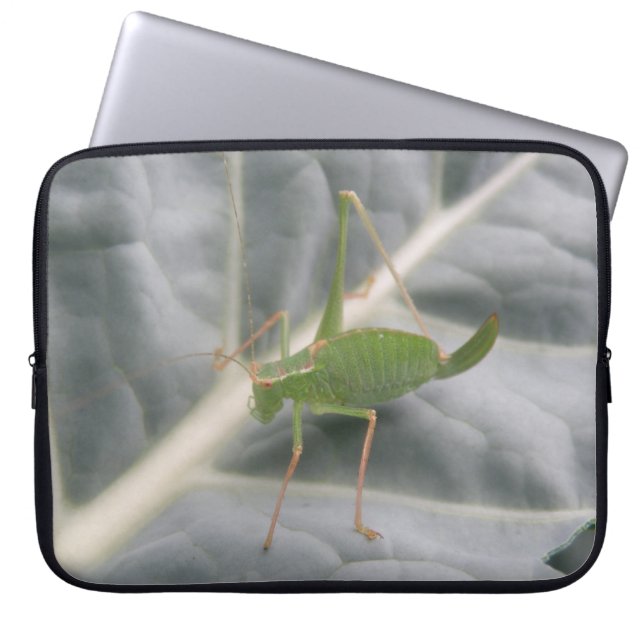 Green Cricket Macro Laptop Bag (Front)