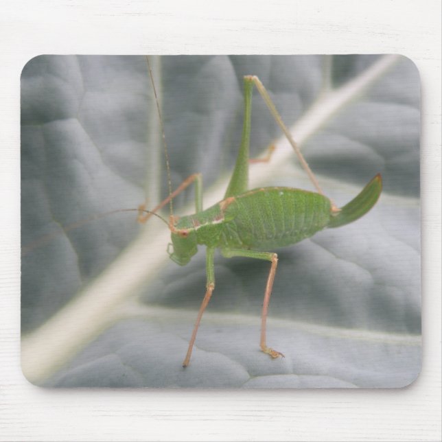 Green Cricket Macro Mousepad (Front)