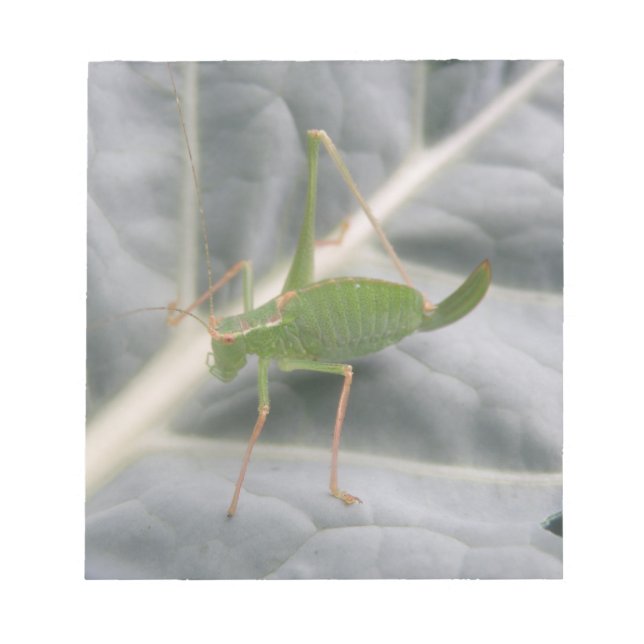 Green Cricket Macro Notepad (Front)