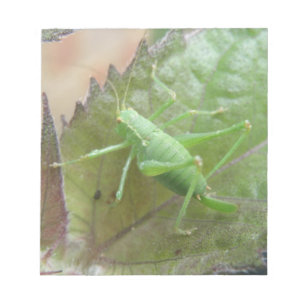 Green Cricket on a Leaf Notepad