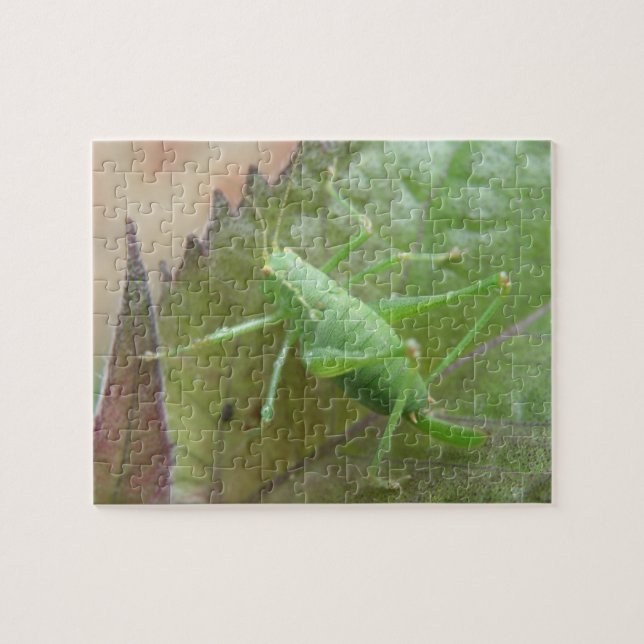 Green Cricket on a Leaf Puzzle (Horizontal)