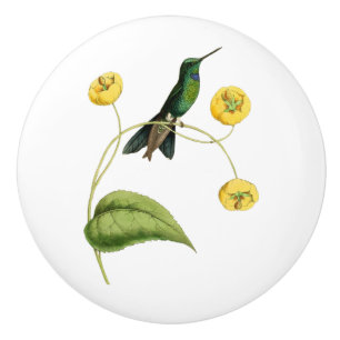 Green Crowned Brilliant Hummingbird Ceramic Knob