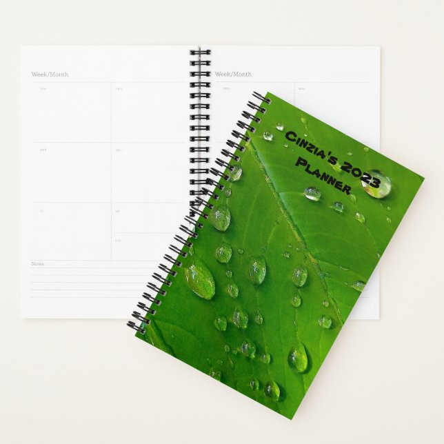 Green Custom Planner 2023 (Display)