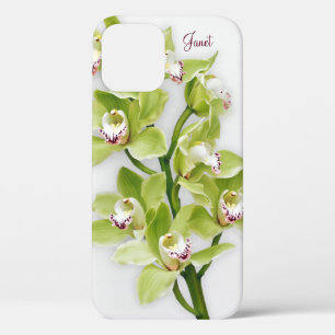 Green Cymbidium Orchid Floral iPhone 6 coque