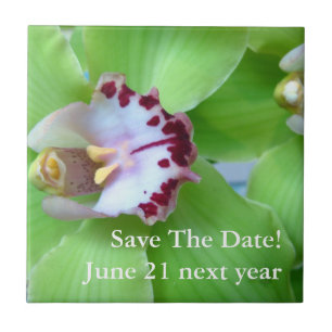 Green Cymbidium Orchid Tile