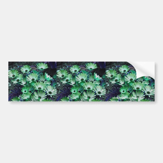 Green Daisies Flower Bumper Sticker Car Art (Front)