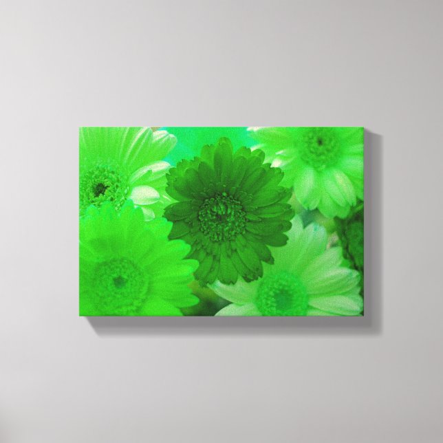 Green Daisy Flower Photo Canvas Wall Art Print (Front)