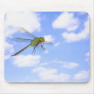 Green darner (Anax junius) flying against Mouse Pad