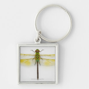 Green darner (Anax junius) on white background, Keychain
