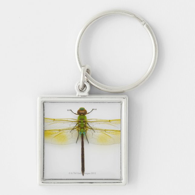 Green darner (Anax junius) on white background, Keychain (Front)