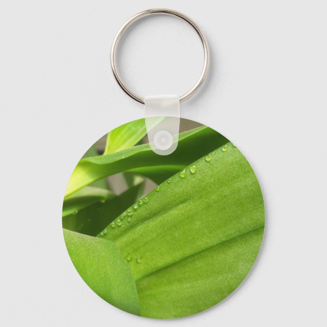 Green Dendrobium Orchid plant closeup Keychain (Front)
