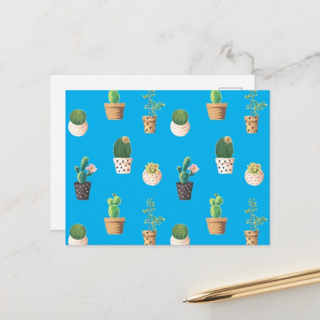 Green Dessert Succulent Cactus in Pots Postcard (Front/Back In Situ)
