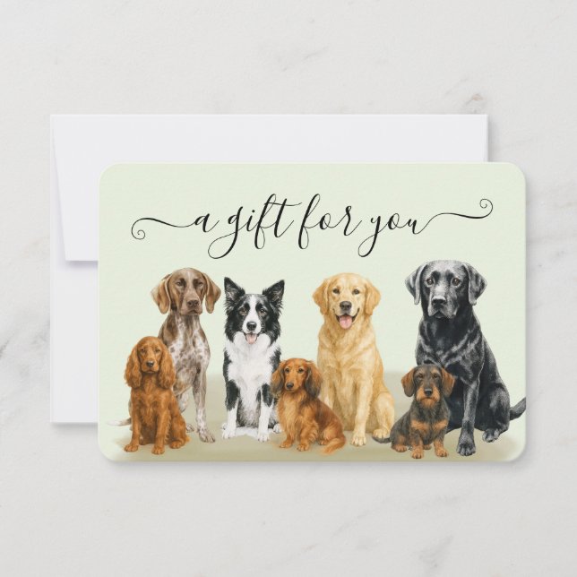 Green Dog Grooming Pet Boarding Gift Certificate (Front)