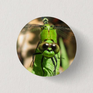 "Green Dragon" Eco Pin